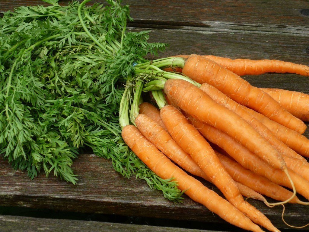 польза морковки