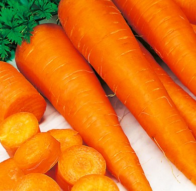 Морковь Флам Морковь
