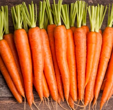 Морковь Длинная  красная без сердцевины Морковь